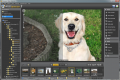 Ashampoo Photo Optimizer 5 5.3.0