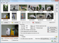 Batch Picture Resizer Screenshot