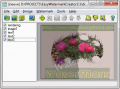 Easy Watermark Creator 3.1