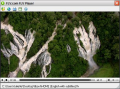 FLV.com FLV Player Screenshot