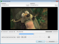 Free Video Dub 2.0.6