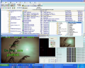 KaraWin Std 3.6.0.0
