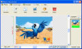 Photo Decorator 4.1310