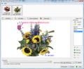 SoftOrbits Batch Watermark Photos 2.0.9
