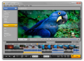 SolveigMM Video Splitter 3.6.1301.16
