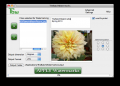 Tbw - mac watermark software 3.6